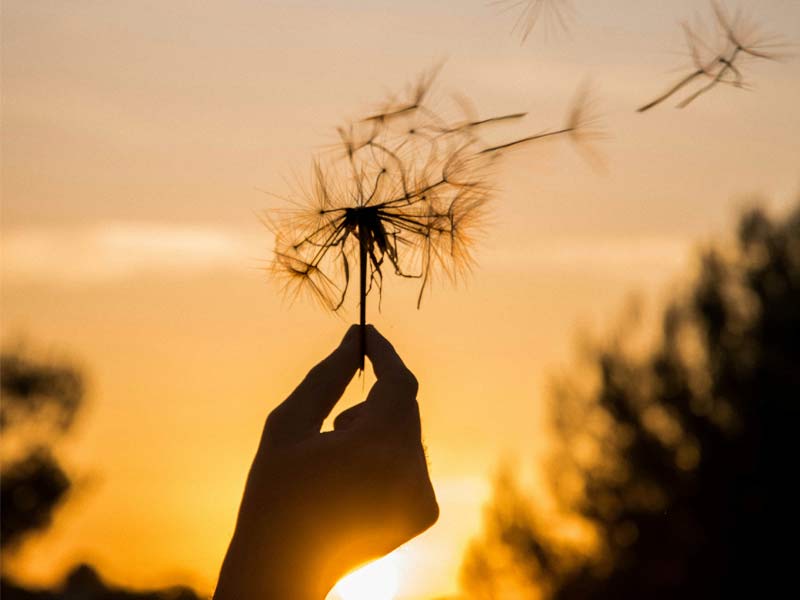 visuel de présentation de l'agence Déjà Demain