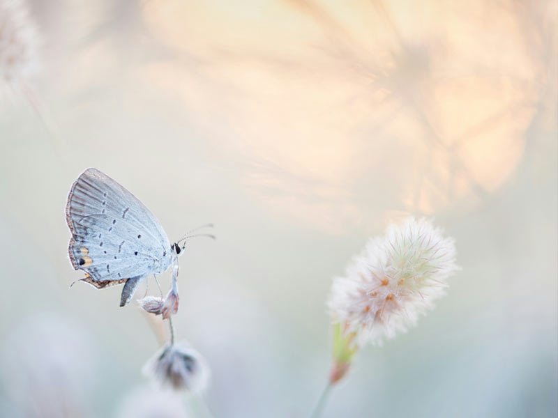 actualités des nouveaux récits de la communication d'entreprise